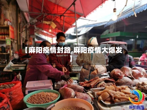 【麻阳疫情封路,麻阳疫情大爆发】-第2张图片