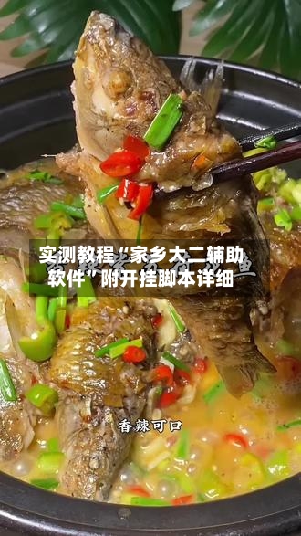 实测教程“家乡大二辅助软件”附开挂脚本详细-第2张图片