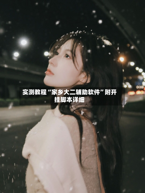 实测教程“家乡大二辅助软件”附开挂脚本详细-第3张图片