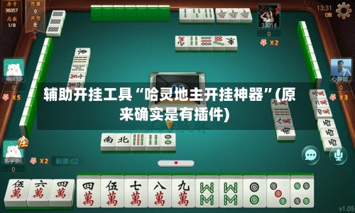 辅助开挂工具“哈灵地主开挂神器”(原来确实是有插件)-第3张图片