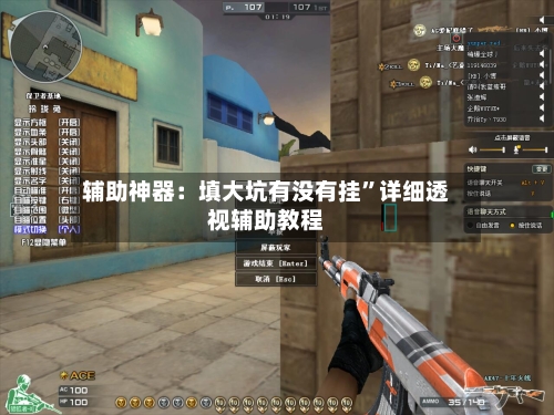 辅助神器：填大坑有没有挂”详细透视辅助教程-第2张图片