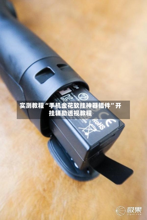 实测教程“手机金花软挂神器插件”开挂辅助透视教程-第2张图片