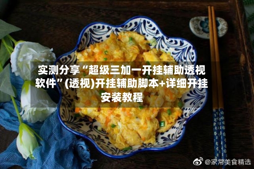 实测分享“超级三加一开挂辅助透视软件”(透视)开挂辅助脚本+详细开挂安装教程-第2张图片