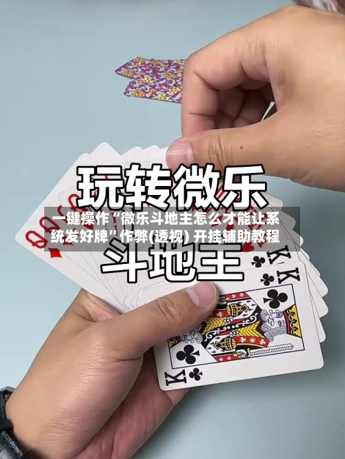一键操作“微乐斗地主怎么才能让系统发好牌”作弊(透视) 开挂辅助教程-第1张图片