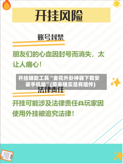 开挂辅助工具“金花外卦神器下载安装手机版	”(原来确实是有插件)-第2张图片