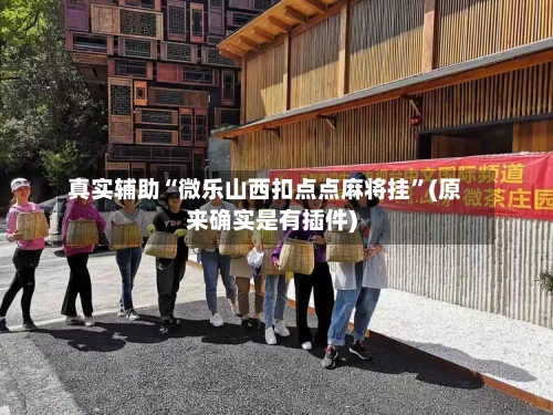 真实辅助“微乐山西扣点点麻将挂	”(原来确实是有插件)-第2张图片