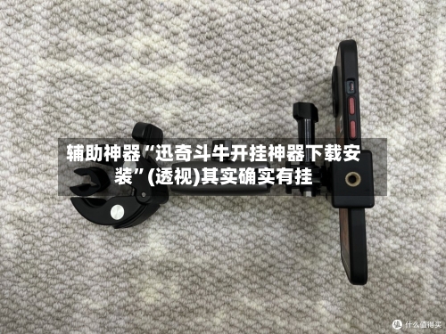 辅助神器“迅奇斗牛开挂神器下载安装”(透视)其实确实有挂-第2张图片