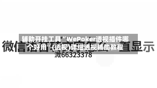 辅助开挂工具“WePoker透视插件哪个好用”(透视)详细透视辅助教程-第3张图片