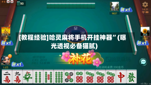 [教程经验]哈灵麻将手机开挂神器”(曝光透视必备猫腻)-第2张图片