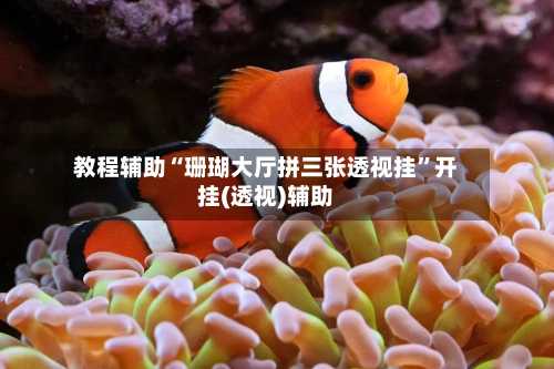 教程辅助“珊瑚大厅拼三张透视挂”开挂(透视)辅助-第3张图片