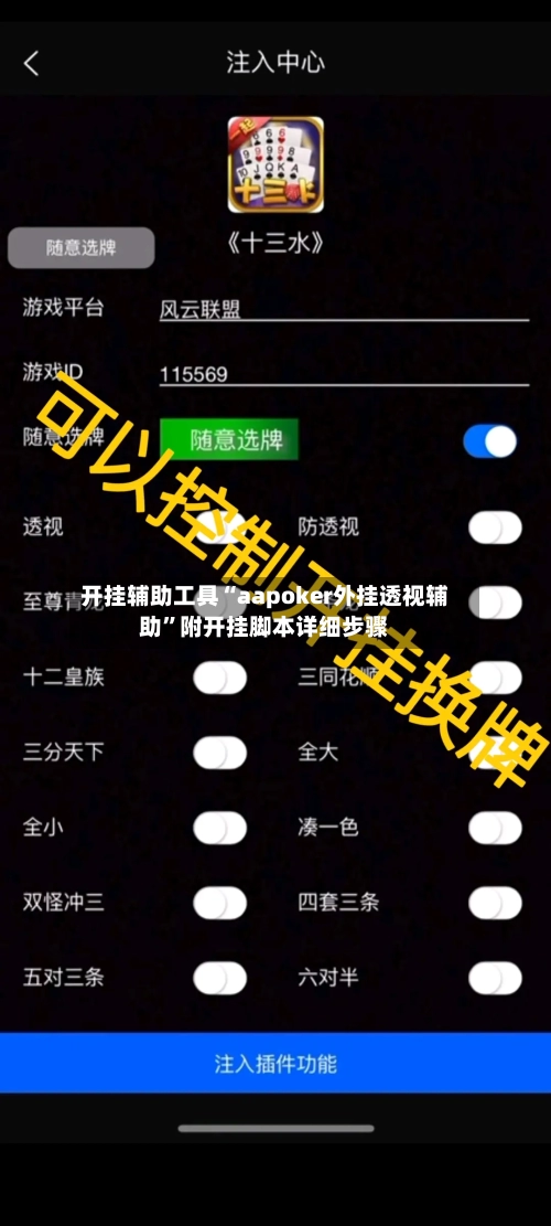 开挂辅助工具“aapoker外挂透视辅助”附开挂脚本详细步骤-第2张图片