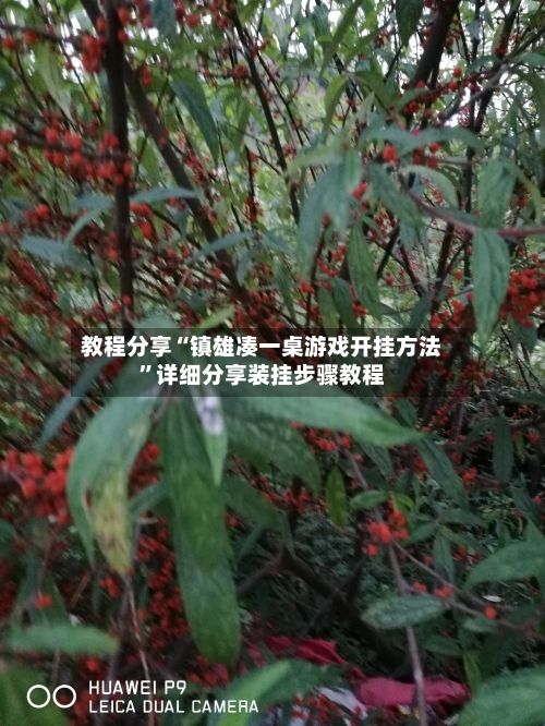 教程分享“镇雄凑一桌游戏开挂方法	”详细分享装挂步骤教程-第3张图片