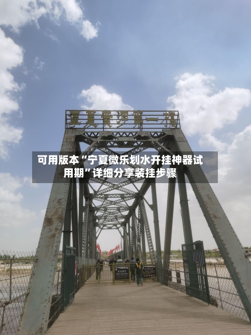 可用版本“宁夏微乐划水开挂神器试用期”详细分享装挂步骤-第1张图片