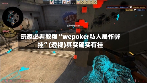 玩家必看教程“wepoker私人局作弊挂”(透视)其实确实有挂-第1张图片