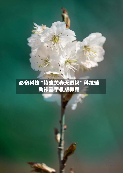 必备科技“镇雄关春天透视	”科技辅助神器手机版教程-第2张图片