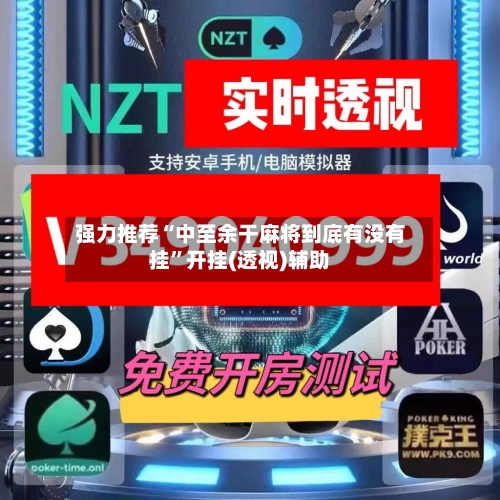 强力推荐“中至余干麻将到底有没有挂	”开挂(透视)辅助-第3张图片