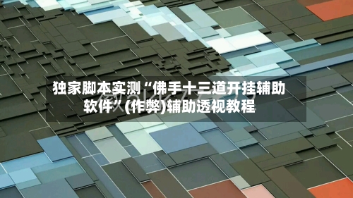 独家脚本实测“佛手十三道开挂辅助软件”(作弊)辅助透视教程-第2张图片