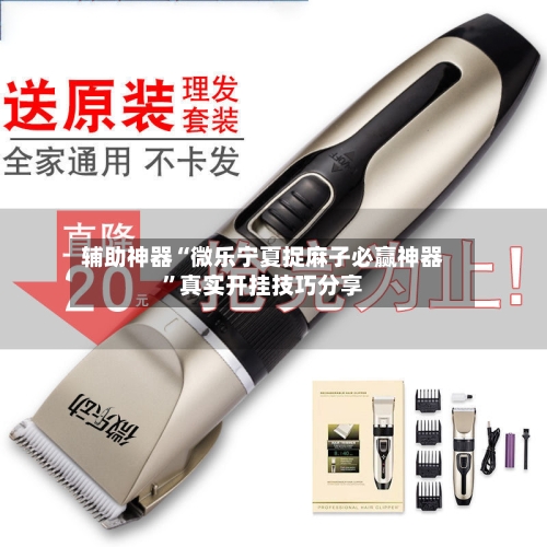 辅助神器“微乐宁夏捉麻子必赢神器”真实开挂技巧分享-第1张图片