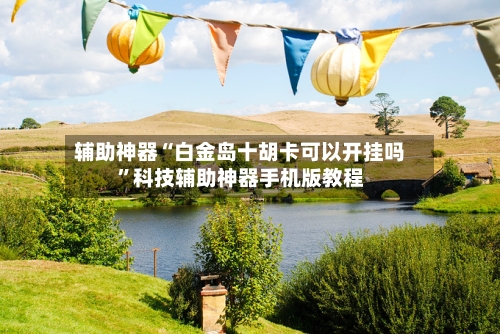 辅助神器“白金岛十胡卡可以开挂吗”科技辅助神器手机版教程-第3张图片