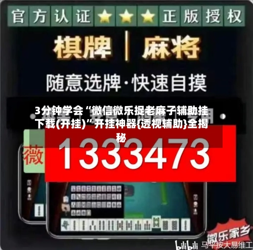 3分钟学会“微信微乐捉老麻子辅助挂下载(开挂)”开挂神器{透视辅助}全揭秘-第2张图片