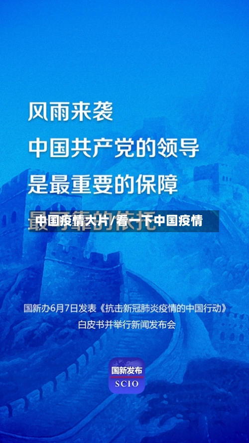 中国疫情大片/看一下中国疫情-第1张图片