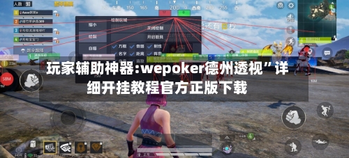 玩家辅助神器:wepoker德州透视”详细开挂教程官方正版下载-第3张图片