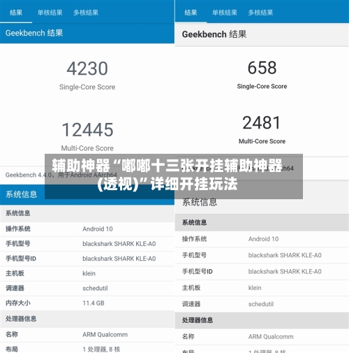 辅助神器“嘟嘟十三张开挂辅助神器(透视)”详细开挂玩法-第3张图片