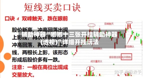 辅助神器“嘟嘟十三张开挂辅助神器(透视)”详细开挂玩法-第2张图片