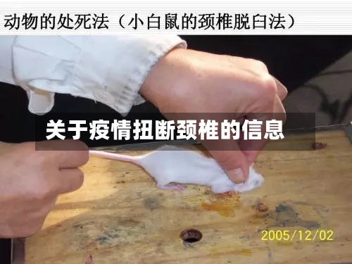 关于疫情扭断颈椎的信息-第1张图片