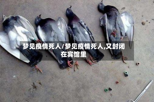 梦见疫情死人/梦见疫情死人,又封闭在宾馆里-第1张图片