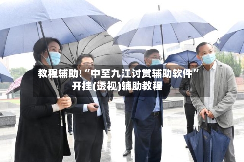 教程辅助!“中至九江讨赏辅助软件”开挂(透视)辅助教程-第1张图片