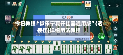 今日教程“微乐宁夏开挂器通用版	”(透视挂)详细用法教程-第2张图片