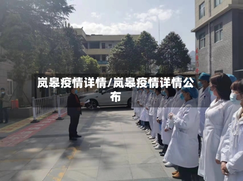 岚皋疫情详情/岚皋疫情详情公布-第1张图片