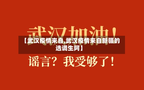 【武汉疫情来自,武汉疫情来自新疆的选调生阿】-第2张图片
