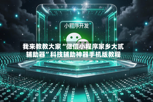 我来教教大家“微信小程序家乡大贰辅助器”科技辅助神器手机版教程-第3张图片