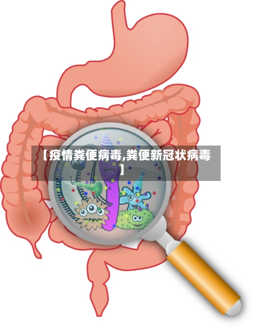 【疫情粪便病毒,粪便新冠状病毒】-第2张图片
