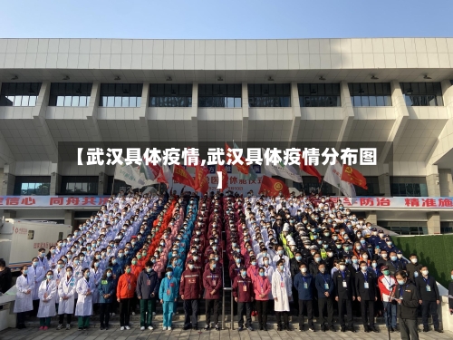 【武汉具体疫情,武汉具体疫情分布图】-第1张图片
