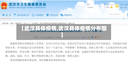 【武汉具体疫情,武汉具体疫情分布图】-第2张图片