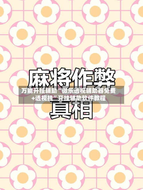 万能开挂辅助“微乐透视辅助器免费+透视挂”开挂辅助软件教程-第3张图片