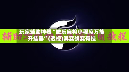 玩家辅助神器“微乐麻将小程序万能开挂器”(透视)其实确实有挂-第2张图片