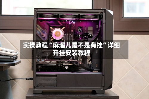 实操教程“麻溜儿是不是有挂”详细开挂安装教程-第3张图片