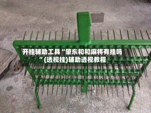 开挂辅助工具“肇东和和麻将有挂吗	”(透视挂)辅助透视教程-第1张图片