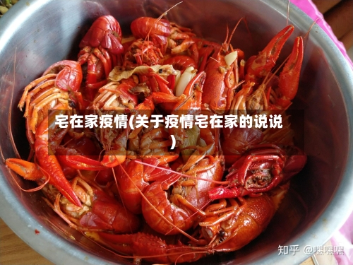 宅在家疫情(关于疫情宅在家的说说)-第2张图片