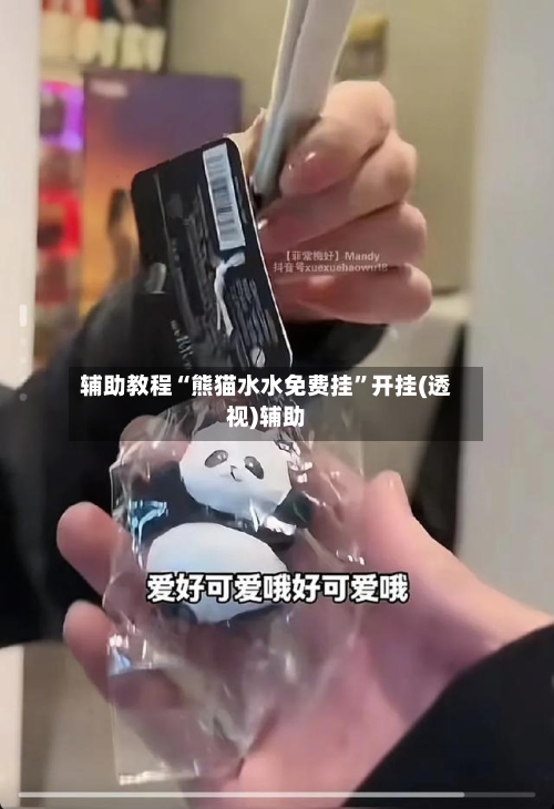 辅助教程“熊猫水水免费挂”开挂(透视)辅助-第2张图片