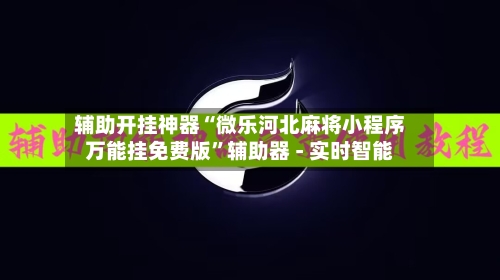辅助开挂神器“微乐河北麻将小程序万能挂免费版”辅助器 - 实时智能-第3张图片