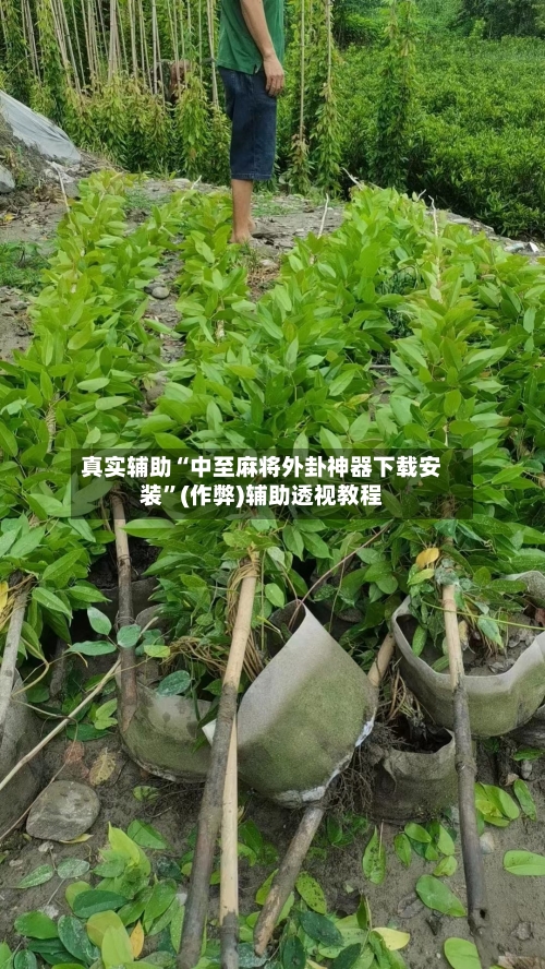 真实辅助“中至麻将外卦神器下载安装	”(作弊)辅助透视教程-第2张图片