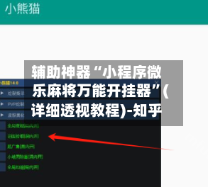 辅助神器“小程序微乐麻将万能开挂器”(详细透视教程)-知乎-第1张图片