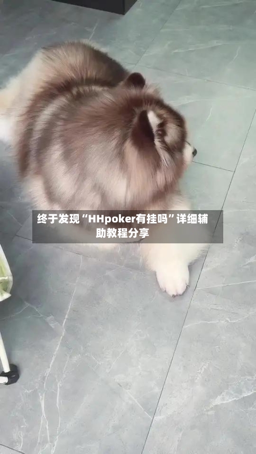 终于发现“HHpoker有挂吗”详细辅助教程分享-第3张图片