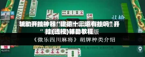 辅助开挂神器“建德十三道有挂吗”开挂(透视)辅助教程-第2张图片