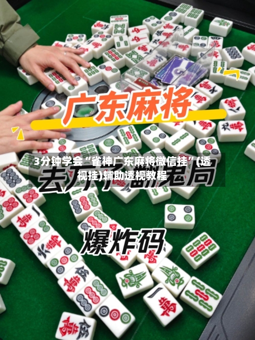 3分钟学会“雀神广东麻将微信挂”(透视挂)辅助透视教程-第1张图片